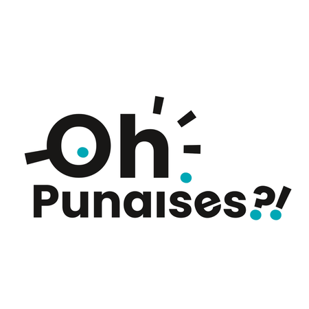 Permanences punaises de lit