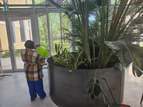 Offre pour les professionnels : - Végétalisation des espaces de travail - Vente et location de plantes - Entretien des espaces végétalisés intérieur