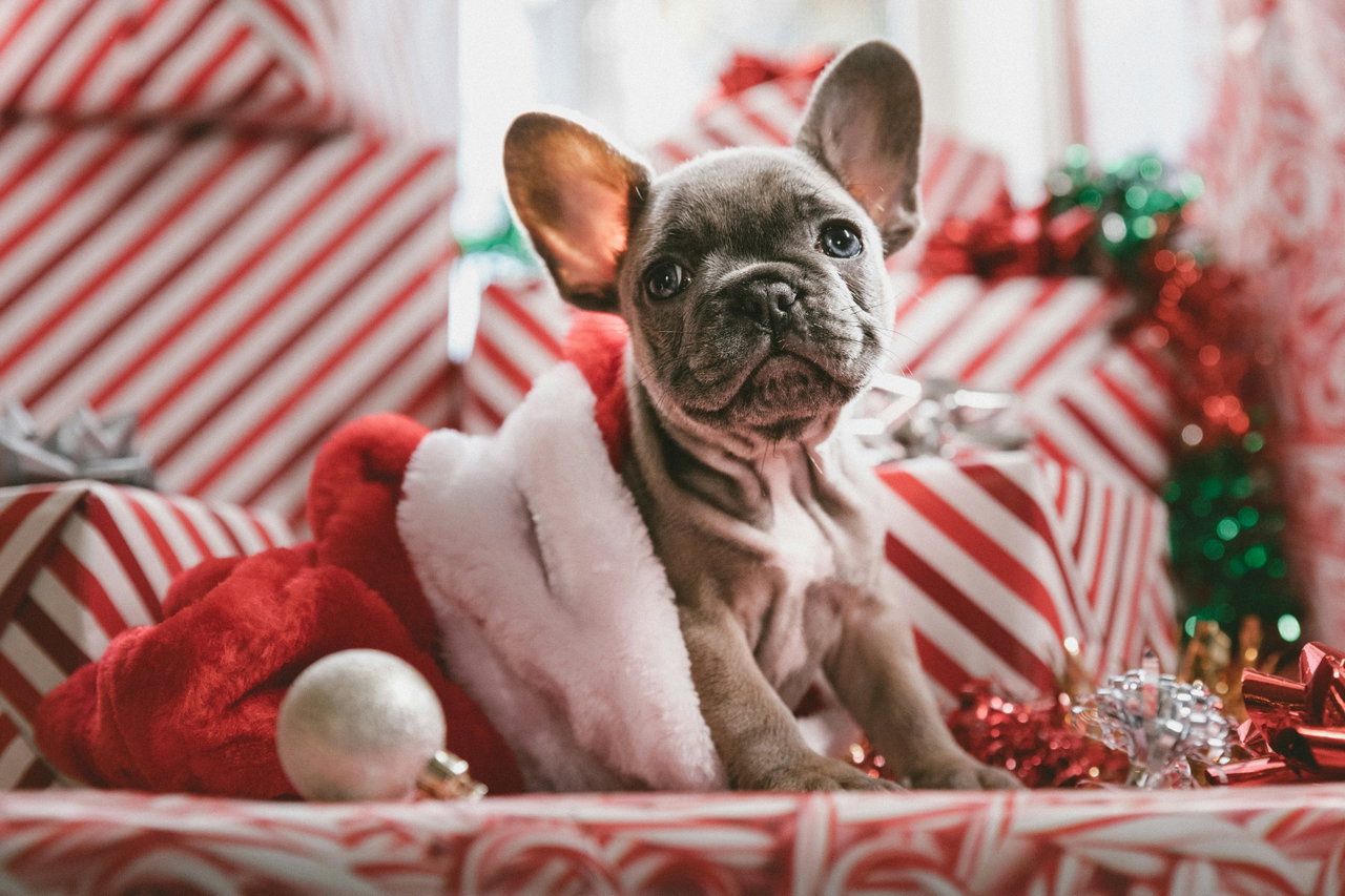 Joyeux Noel 💫🎄et Bonne Année 2026 🎉