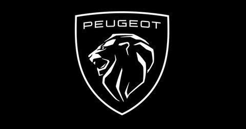 Chez ROUSSET AUTO, nous sommes fiers de proposer une gamme complète de services pour votre véhicule PEUGEOT.