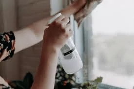 Nettoyant naturel pour les vitres.