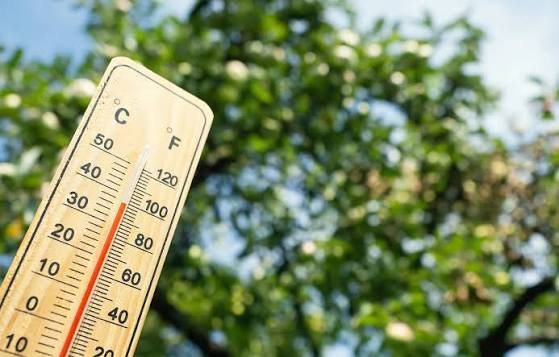 Durant une canicule une pathologie chronique fragilise l’organisme.