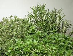 Des herbes aromatiques à intégrer à nos plats l’été.