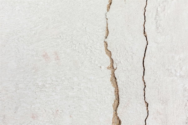 Pourquoi faire analyser vos fissures ?