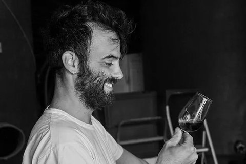 Mas des Manhans , Vins