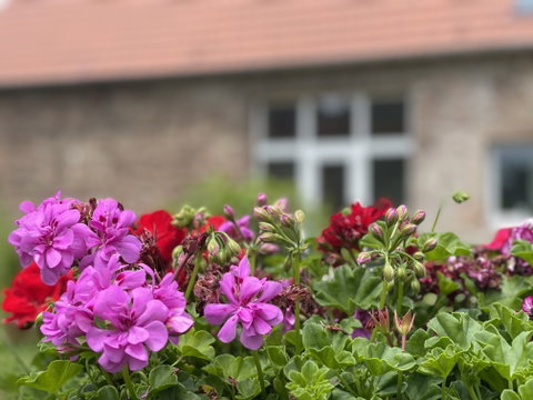 Dans la journée, de nombreuses balades à pieds ou à vélo vous permettront d’apprécier ce paysage particulier et reposant, de converser avec nos plus