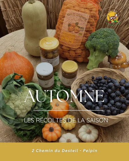 L’automne dans les assiettes ! 🍂