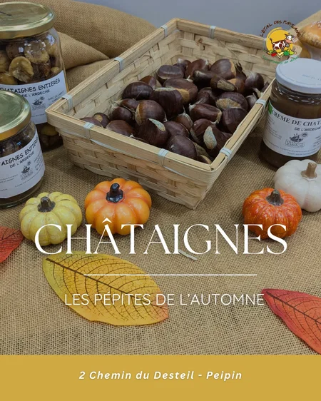 Le retour des châtaignes ! 🍂