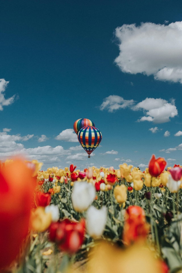 Alpes Provence Montgolfière