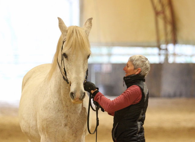 Les Chevaux du Lac