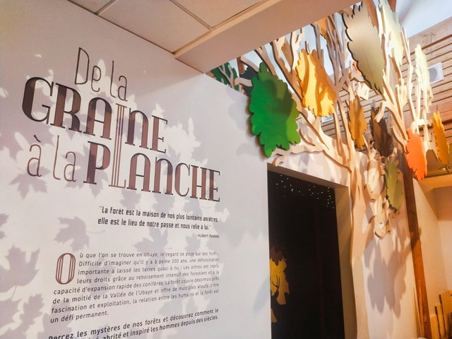 Maison du Bois et de la Forêt