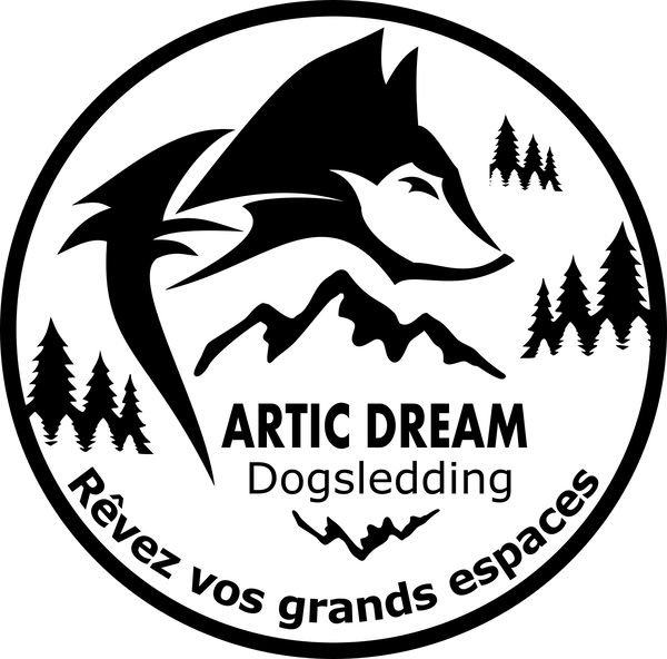 Artic Dream