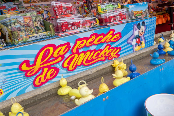 Pêche aux canards