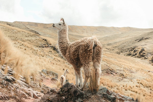 Quand partir en Italie ? Meilleure période et climat