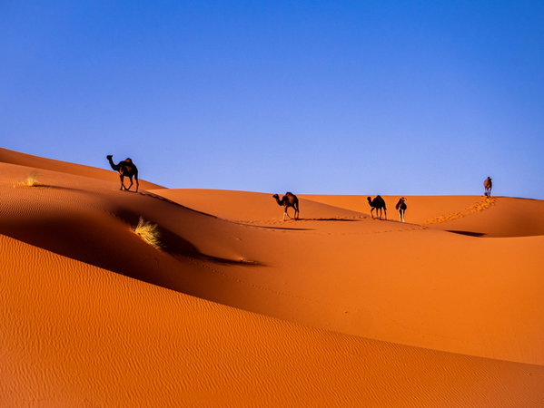 Quand partir au Maroc ? Meilleure période et climat