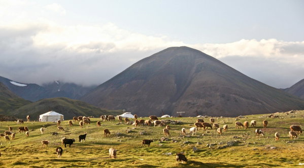Quand partir en Mongolie ? Meilleure période et climat