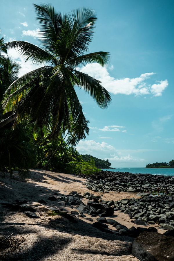 Quand partir en Guyane ? Meilleure période et climat