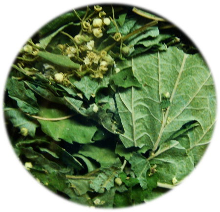  INFUSION LA LÉGÈRE 30g