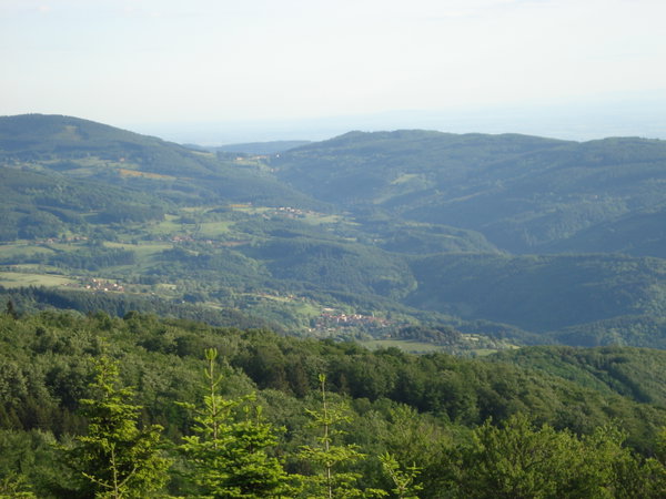 2016