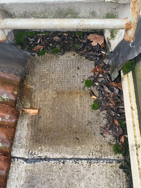 Pourquoi les prestations lavage et hydro-fuge sont proposées en option ?