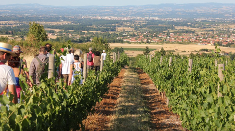 Découvrez notre sélection dans La cave de Paul Rouge, rosé, blanc Vins effervescents Offrez-vous une page d’histoire de notre région !