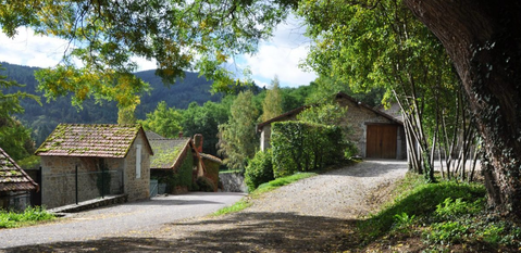 Depuis 1536, la Maison CLAIR produit des vins rouges et rosés.
