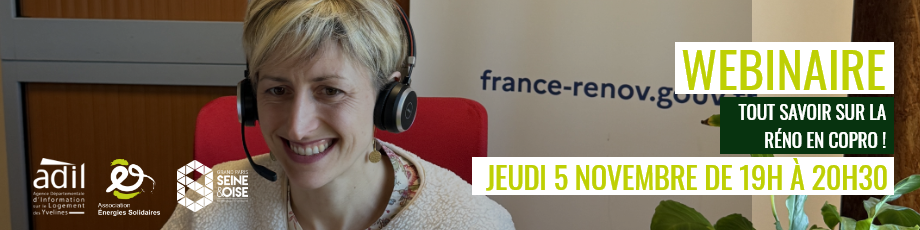 Webinaire : la rénovation énergétique en copropriété le jeudi 5 novembre de 19h à 20h30