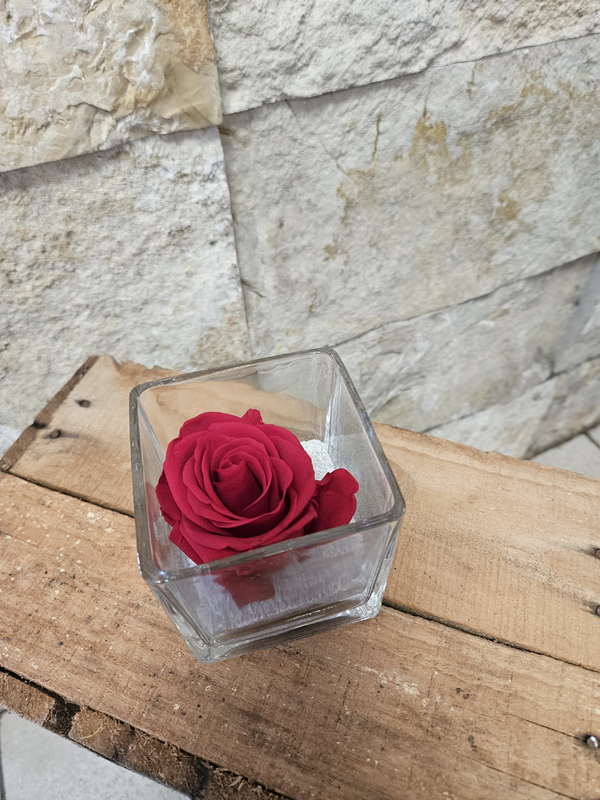 Roses éternelles