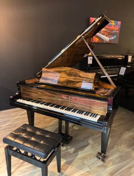 Piano à Queue BECHSTEIN Modèle : B de 1900