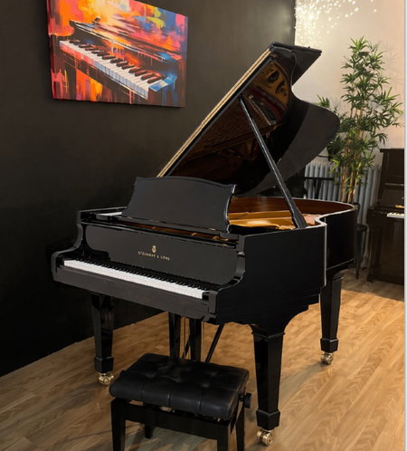 Piano à Queue STEINWAY & SONS Modèle : M