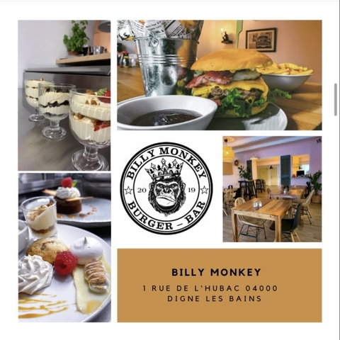 BILLY MONKEY Découvrir