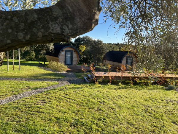 Quels sont les meilleurs hébergements insolites pour camping ?