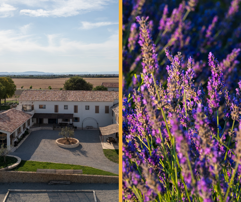 DOMAINE DEMOL