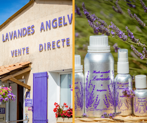 LAVANDE ANGELVIN