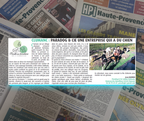 LA PENSION DU BONHEUR