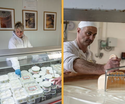 COOPERATIVE LAITIERE DE L'UBAYE