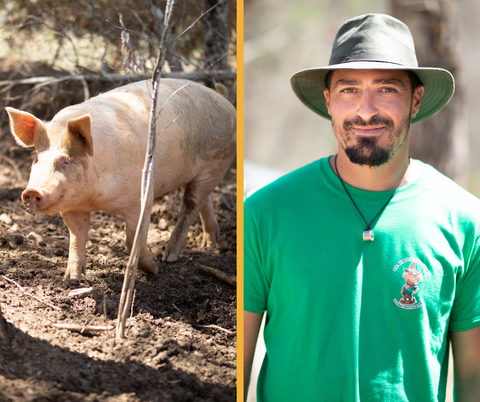 LE RANCH AUX COCHONS