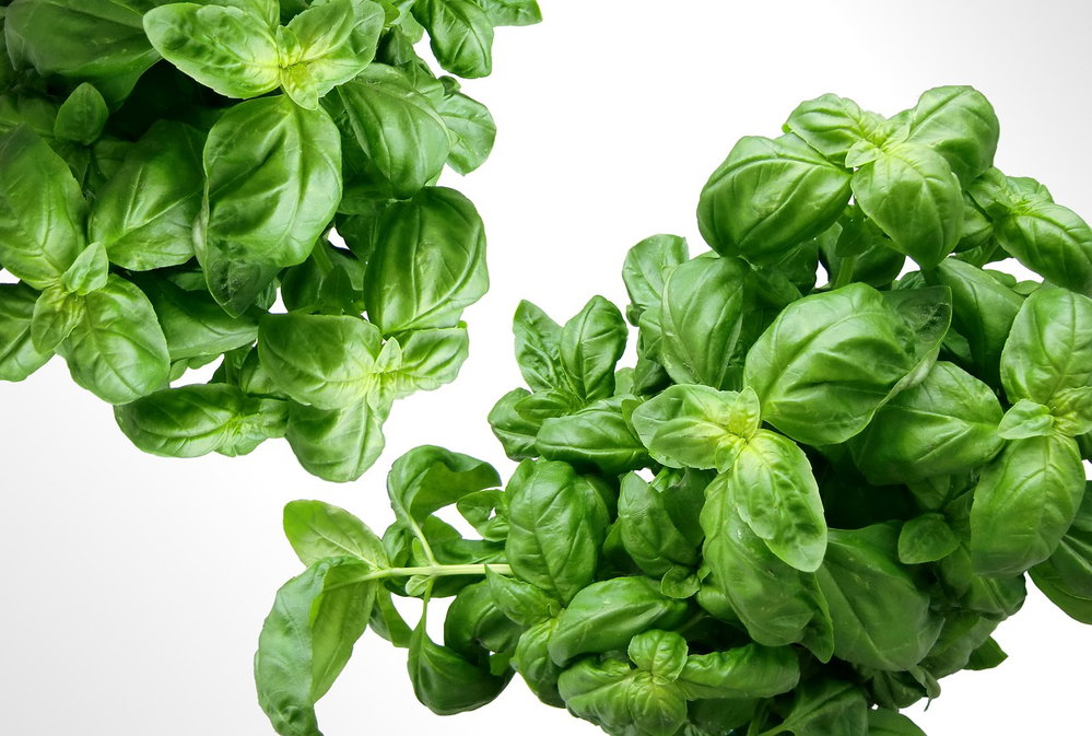 AROMATIQUES DE SAISON