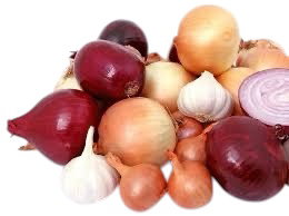 BULBES POTAGER EN VRAC dispo 12 février à mai
