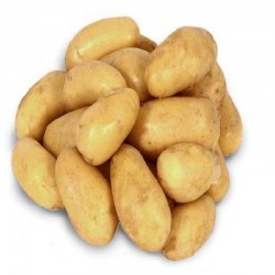 VENTE DE POMMES DE TERRE DE CONSOMMATION