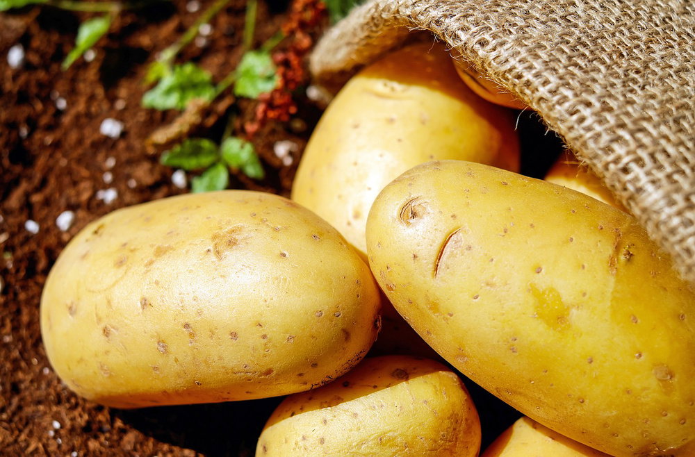 CONSULTEZ NOS VARIETES DE POMMES DE TERRE EN VRAC- Dispo du 12 fevrier a mai