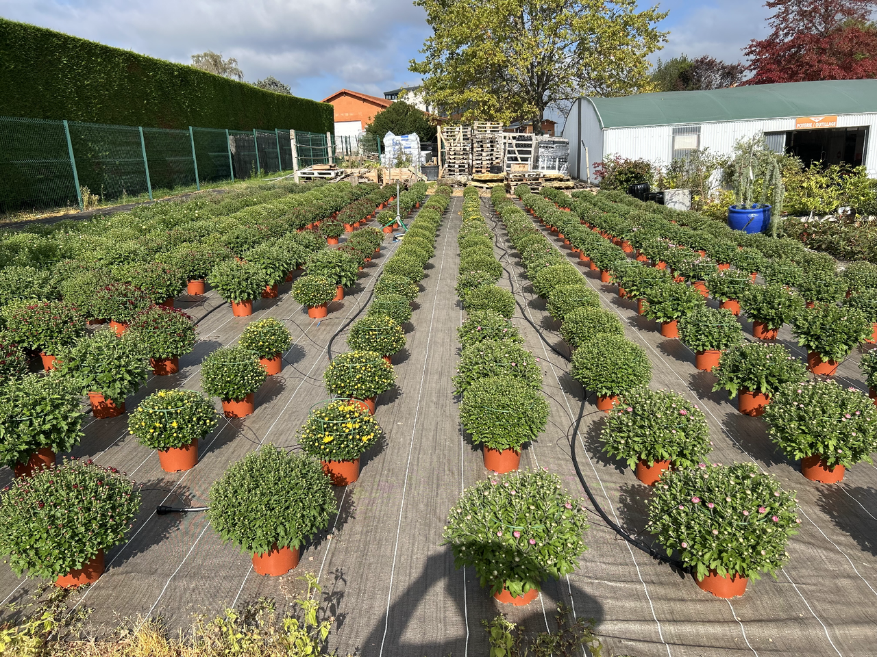 Ouverture exceptionnelle pour la Toussaint aux Jardins de la Côte