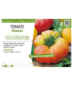 TOMATES 