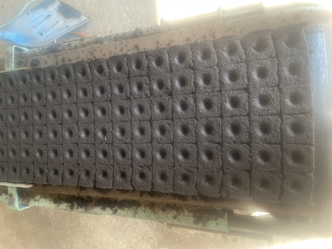 Notre labo de semis en cours de production pour tous vos plants de potager garantis 100 % naturels et produits par nos soins