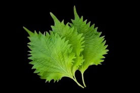 AROMATIQUES ORIGINALES