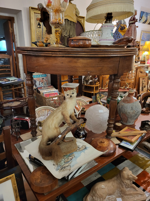 Découvrez notre Showroom +80 mètres carrés d'exposition où vous trouverez des meubles, des chaises, des lampes, des peintures, des figurines et bien