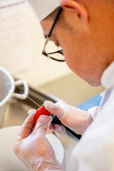 Cuisine Location de salle, repas pour vos séminaires, buffet traiteur…Notre cuisine s’adapte à vos besoins.