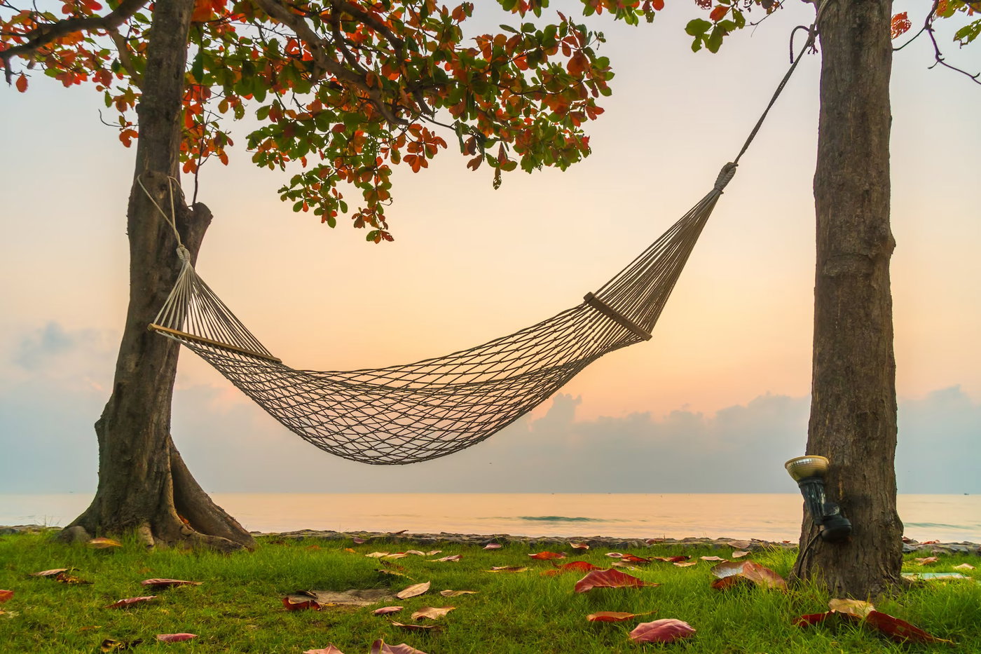 Well-being Workshops every Saturday