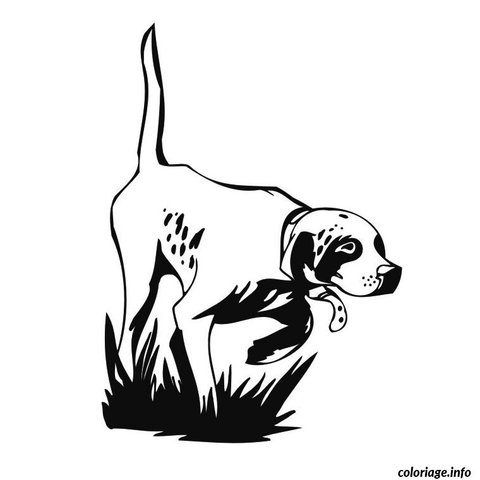 A.C.C.A , Chasse Les activités de chasse sur la commune sont gérées par l'Association Communale de Chasse Agréée de CHERIER.