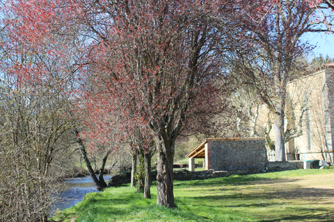La rivière l’Aix à Baffy Saint-Germain-Laval domine l’Aix, une rivière claire et ombragée. L’Aix prend sa source dans les bois noirs à Chausseterre.